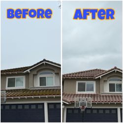 Pirate Pete's Power Washing - Roof cleaning