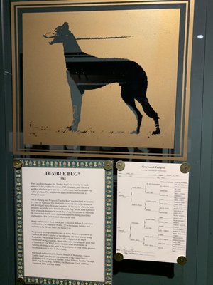 Greyhound Hall of Fame by null