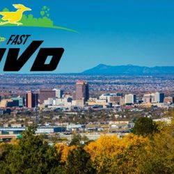 All Fast MVD
