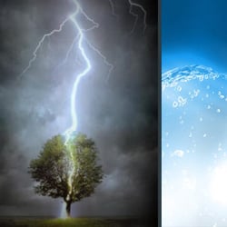 Paul Davis Restoration - We Restore Lives. CALL PAUL!
We'll Turn Your Chaos Into Calm...