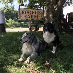 Rogers Farm