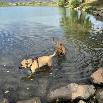 Coot Lake Open Space - Local Flavor Near Me - Boulder, Colorado