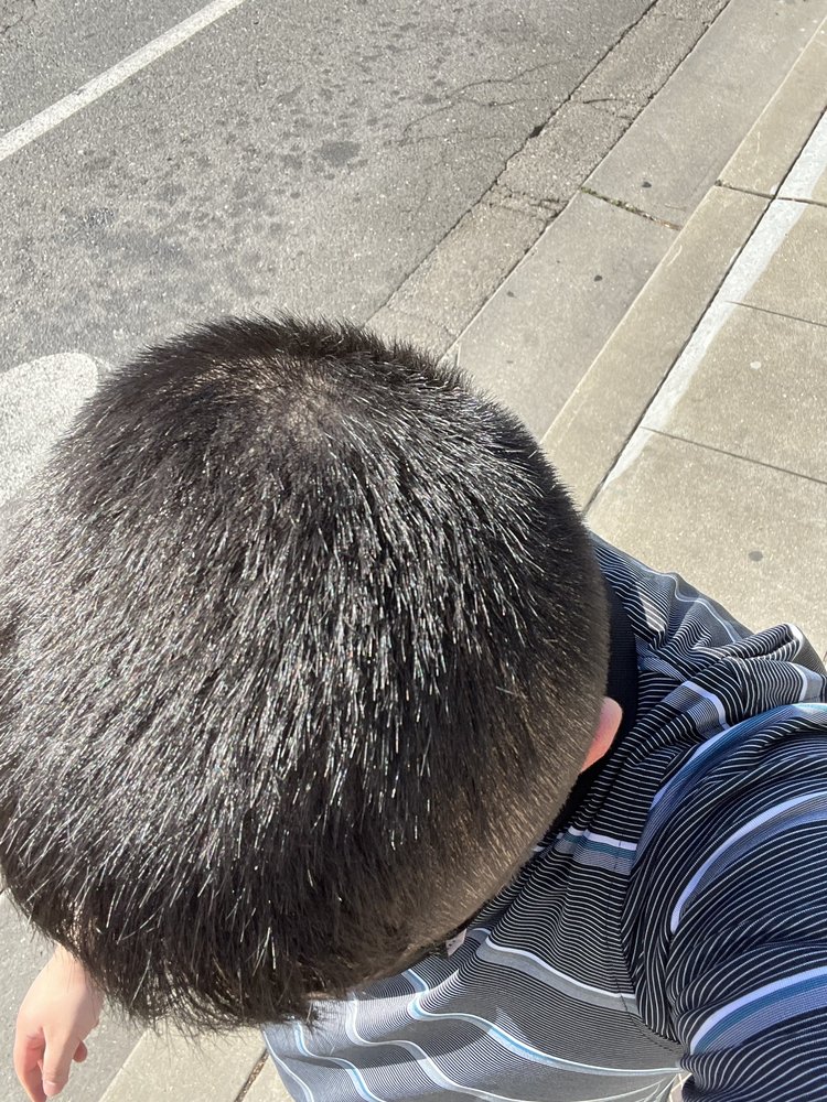 BEAUTY CUT with photos Updated August 2024 42 Photos & 110 Reviews