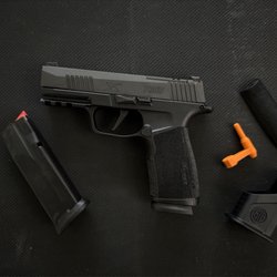 Palmetto State Armory - SIG