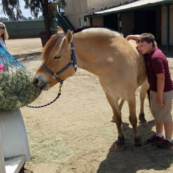Forth Downs - My son giving a warm hello to Sarah's horse Yeti, after she competed in the Del Mar Nationals.