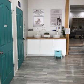 Cat Cafe on Whyte - Coffee & Tea Near Me - Edmonton, Alberta