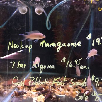 Something Fishy - Pet Stores Near Me - Cleveland, Ohio