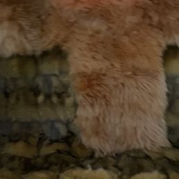 My fur seat covers My fur seat covers