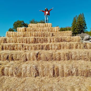 Rickey Ranch Pumpkin Patch - Pumpkin Patches Near Me - Granite Bay, California