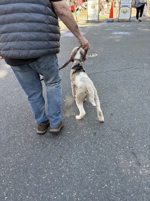 Vancouver Farmers Market by null