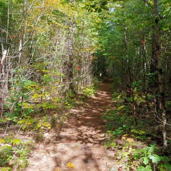 Donnabeth Lippman Park - Hiking Near Me - Windham, Maine Donnabeth Lippman Park - Hiking Near Me - Windham, Maine