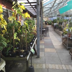 Ferndale Nursery & Garden Centre