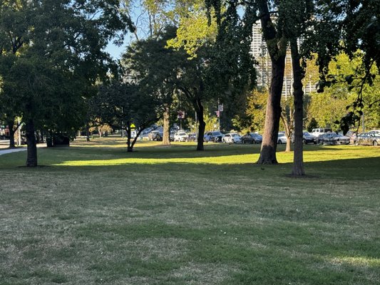 Lincoln Park by null