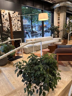 The Shop by Porter by null