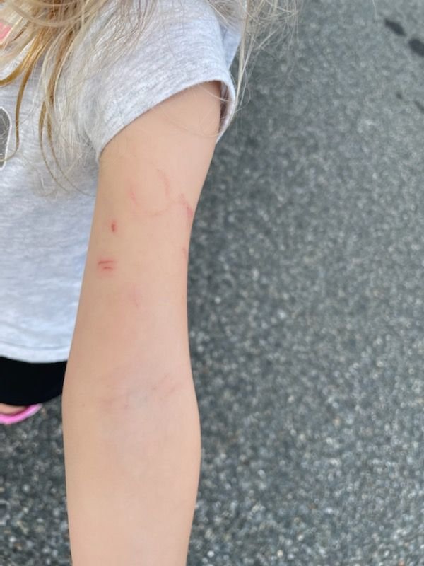 Love-N-Learn Nursery-N-Preschool - childcare center in Dover, DE