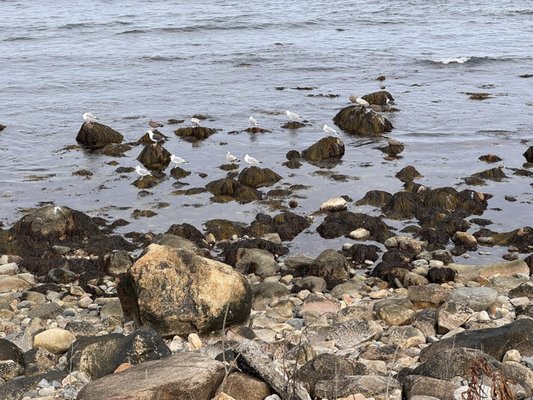 Matunuck Oyster Bar by null