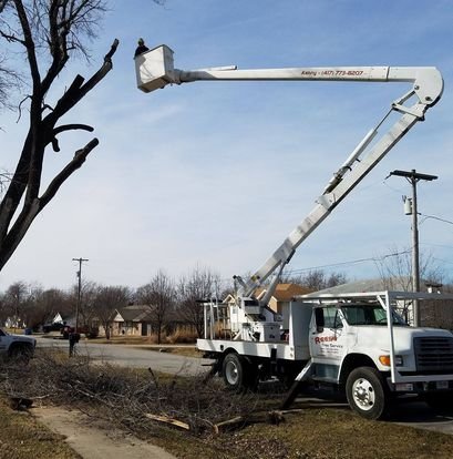 Reese Tree Service - tree service in Marshfield, MO