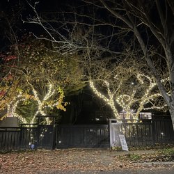 Holiday Lighting Pros of Seattle - white trees