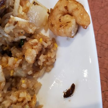Phó Só 8 - Vietnamese Near Me - Memphis, Tennessee