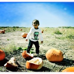 Relleke Farms