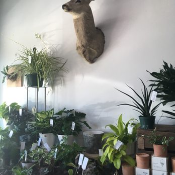 Grounded Plant & Floral - Nurseries & Gardening Near Me - Indianapolis, Indiana