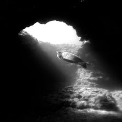 Underwater Oahu