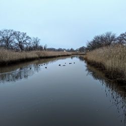 Milbourn Creek Park - View from the bridge