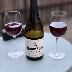 BloodRoot Wines - Bottle of Pinot Noir bought at BloodRoot