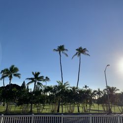Navy Housing Playground