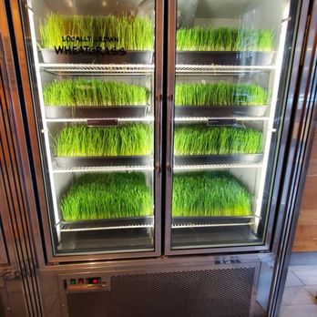 Juice Generation - Juice Bars & Smoothies Near Me - New York, New York