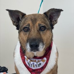 Lucy's progress photo! Lucy's progress photo!