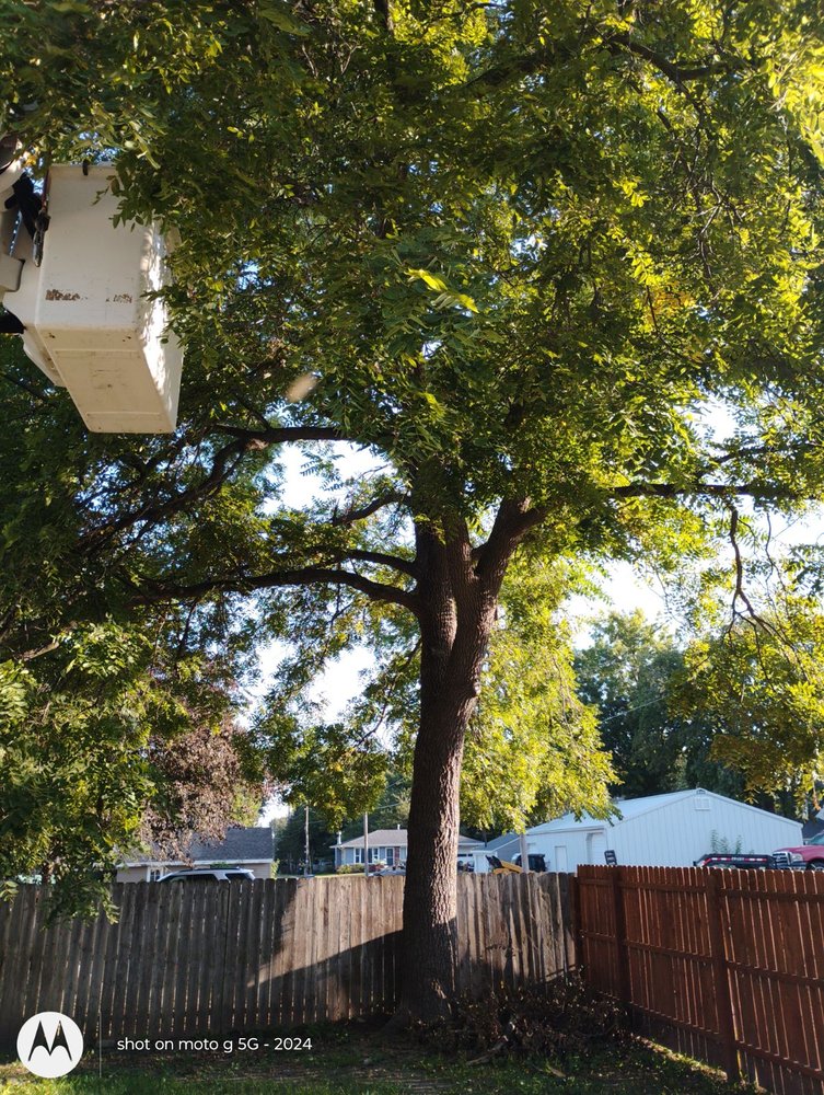 LCS Tree Trim And Removal - tree service in Des Moines, IA