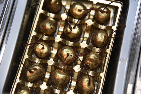 Paradise City Creamery by null