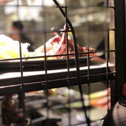 Hawker Hall - Roast Duck ready for table delivery