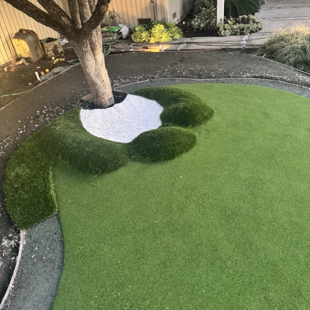Turf World - Artificial Turf Near Me - San Leandro, California Turf World - Artificial Turf Near Me - San Leandro, California