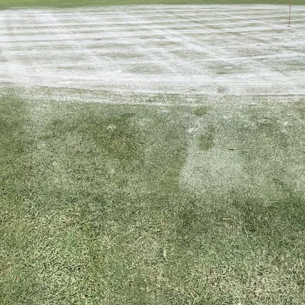This photo shows how poor these people take care of this so called "course"!