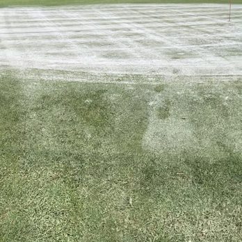 Freedom Fairways - This photo shows how poor these people take care of this so called "course"! - Golf Equipment Near Me - Sun City Center, Florida