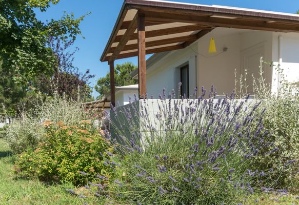 Camping Ca 'Savio by null