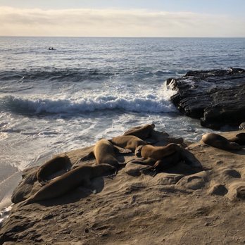 La Jolla Cove - Parks Near Me - La Jolla, California