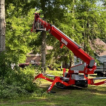 Big John's Tree Service - Tree Services Near Me
