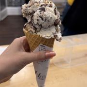 楽天市場】ヒロコサイエンス ステムプレミアムクリーム 60g 保湿