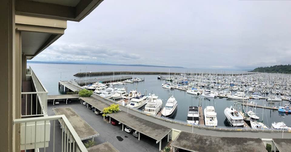 SATISFACTION WINDOW CLEANING - Updated January 2025 - Shoreline