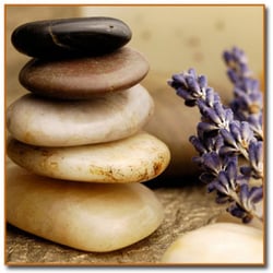 Spa Revolution