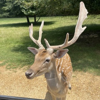 Alabama Safari Park - Zoos Near Me - Hope Hull, Alabama
