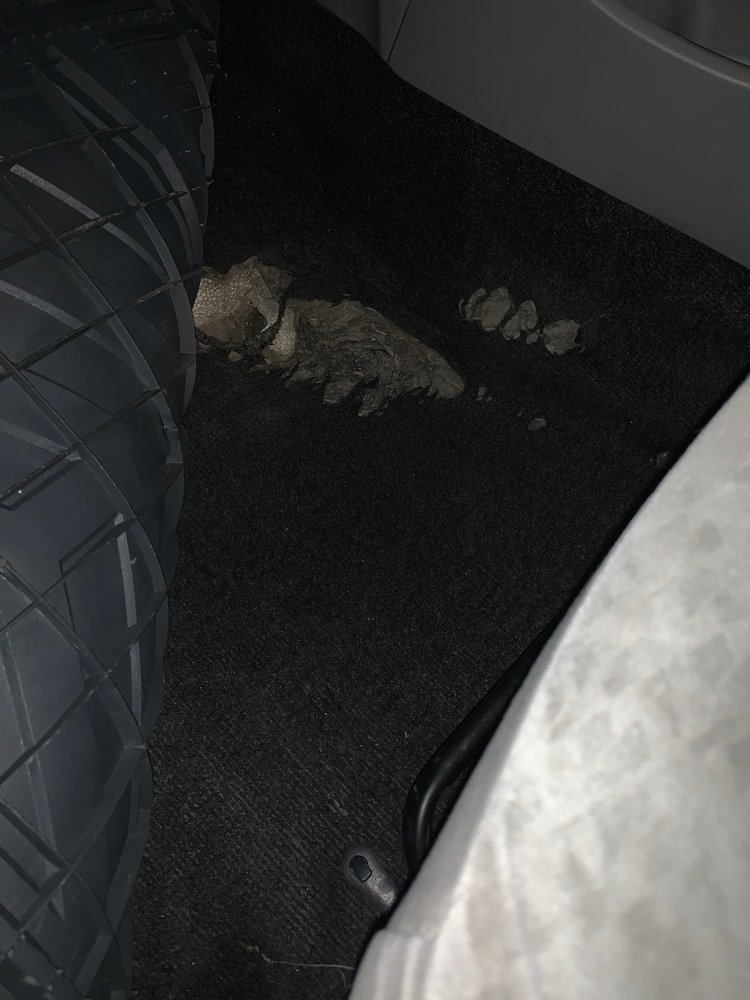 TEXAS TRIUMPH MOTORS Updated September 2024 24 Reviews 145 Quail Run Dr, San Marcos, Texas