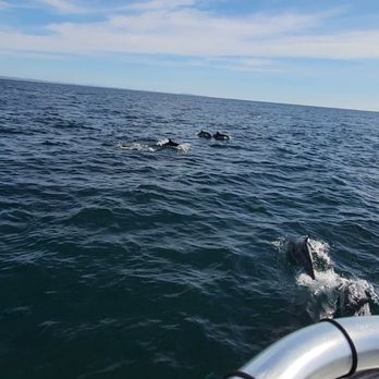 Oceanside Adventures - Boat Charters Near Me - Oceanside, California Oceanside Adventures - Boat Charters Near Me - Oceanside, California