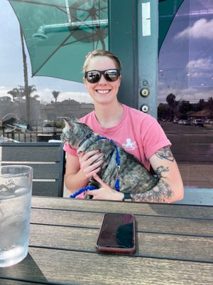 The Switchboard Restaurant & Bar by null