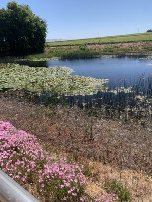 Wrath Wines- Winery Tasting Room by null