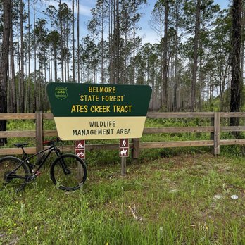Belmore State Forest - Signage - Parks Near Me - Green Cove Springs, Florida Belmore State Forest - Signage - Parks Near Me - Green Cove Springs, Florida