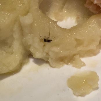 City Rub Smokehouse - Bug in my food - Southern Near Me - Newark, New Jersey